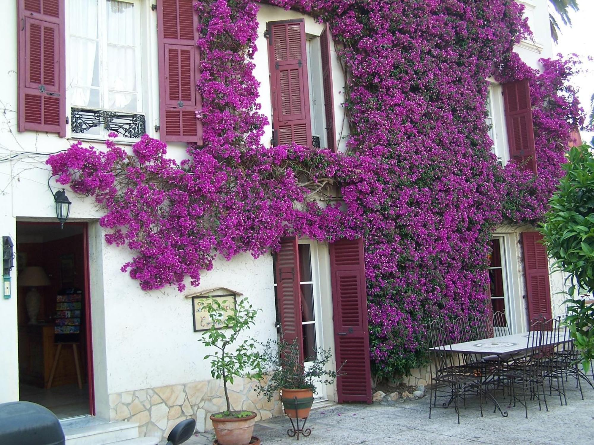 Castel Enchante Nice Exteriér fotografie